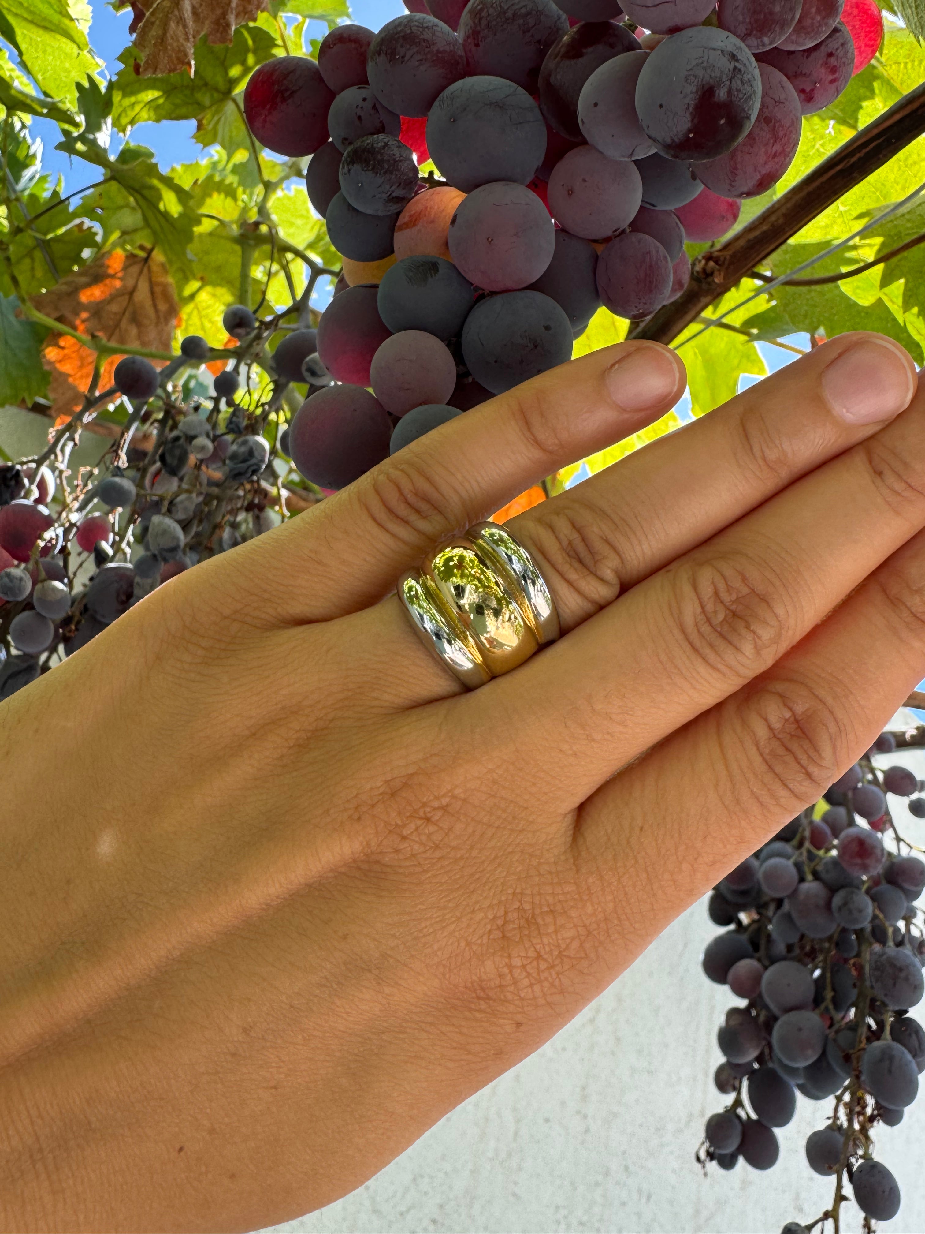 Bague Emna Bicolore acier inoxydable