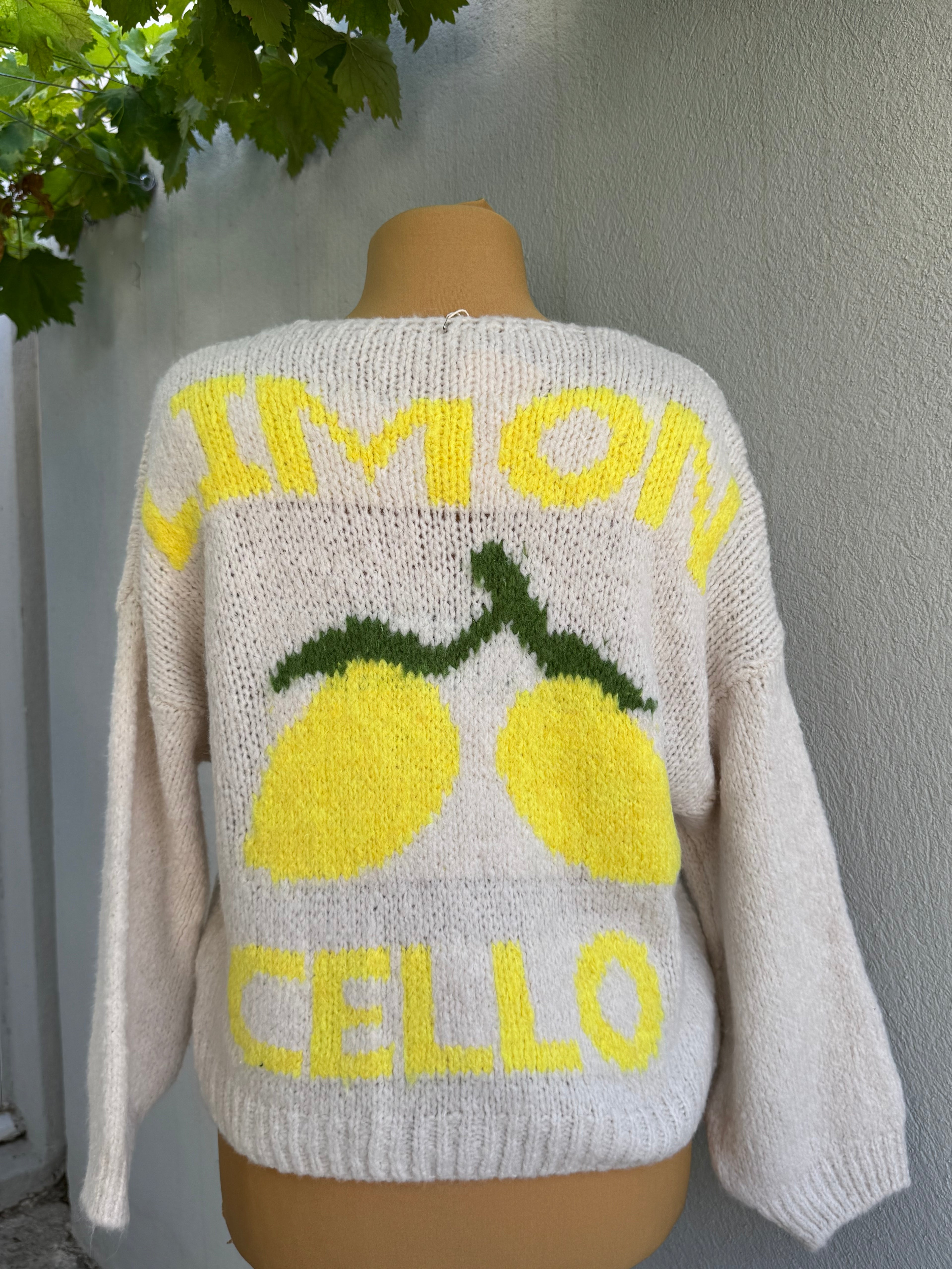 Gilet  Citron Valérie